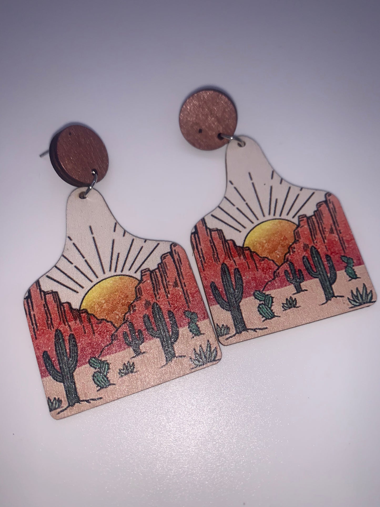 Sunrise Desert Wooden Earrings