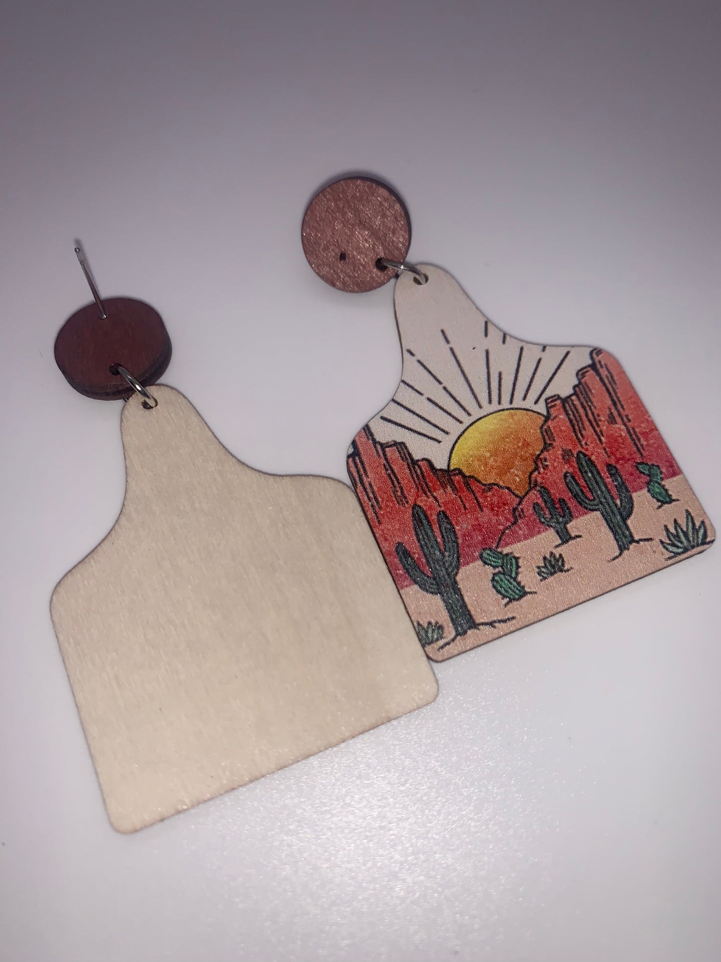 Sunrise Desert Wooden Earrings